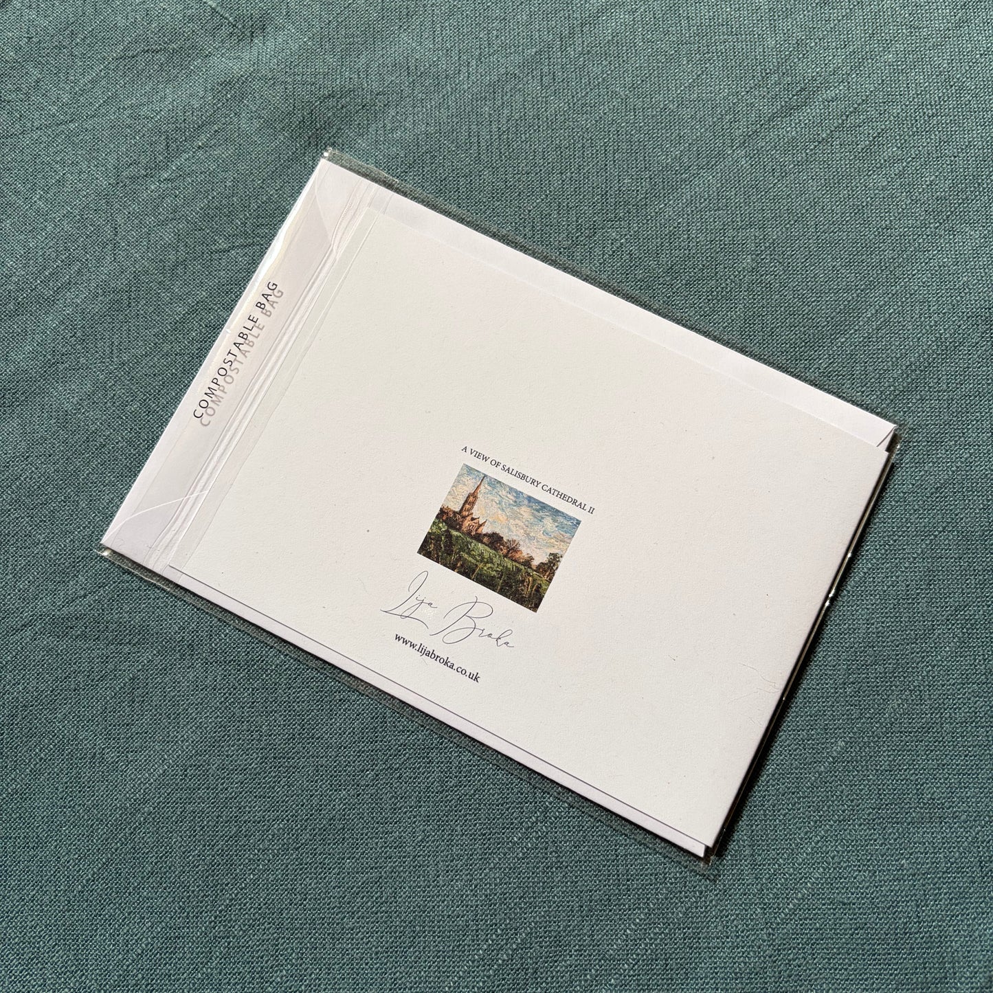 A View of Salisbury Cathedral II greeting card