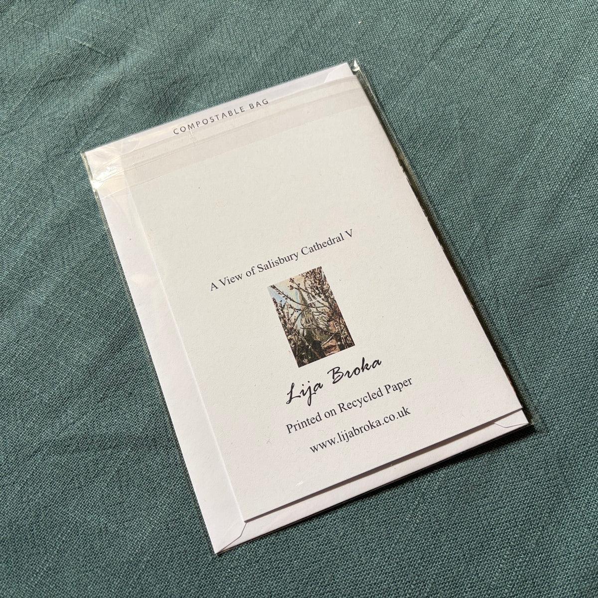 A View of Salisbury Cathedral V greeting card