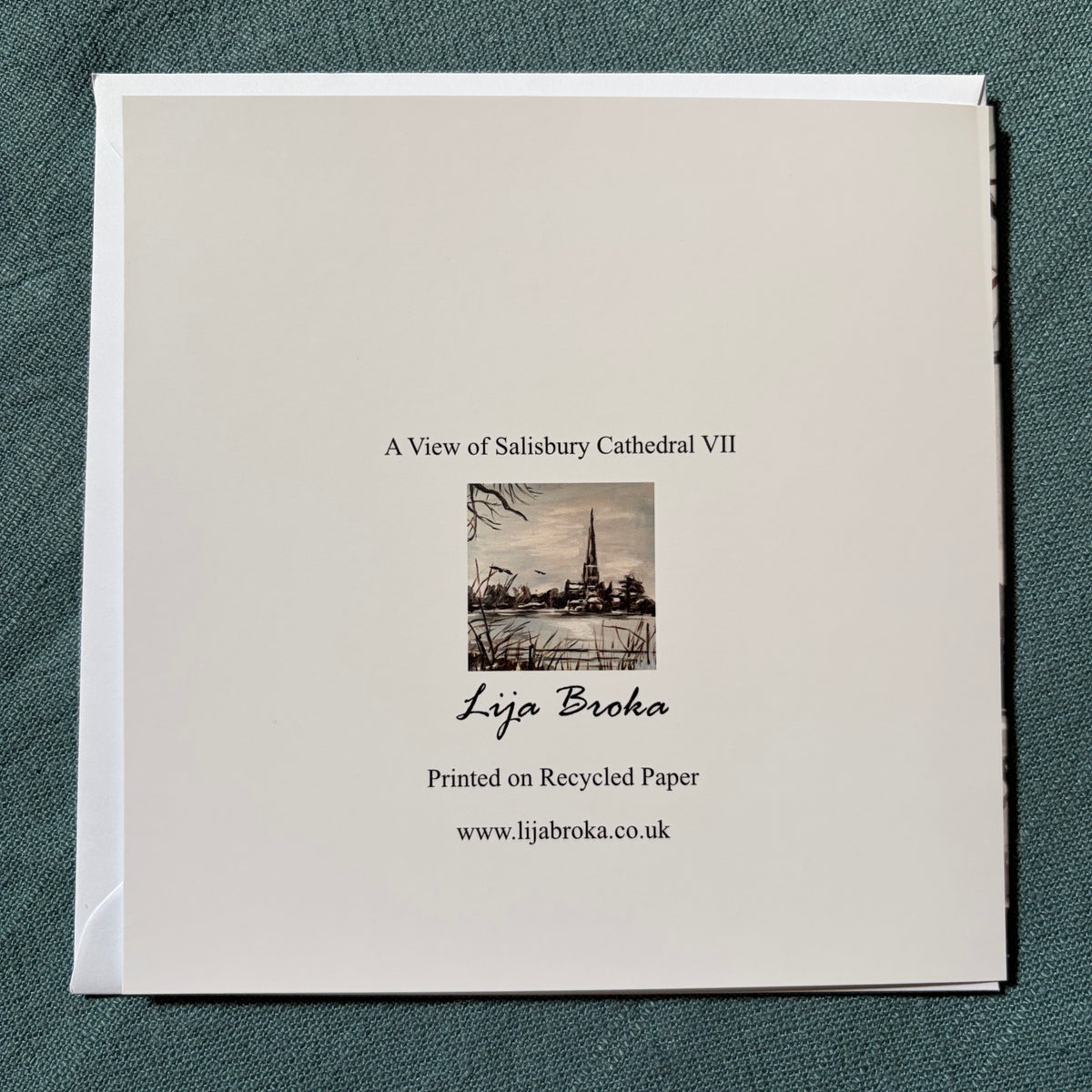 A View of Salisbury Cathedral VII greeting card