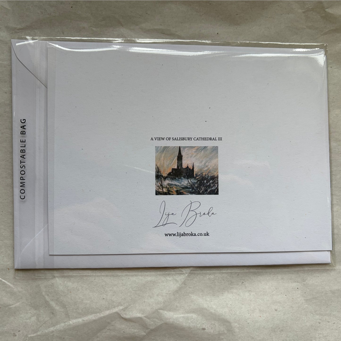 A View of Salisbury Cathedral III greeting card