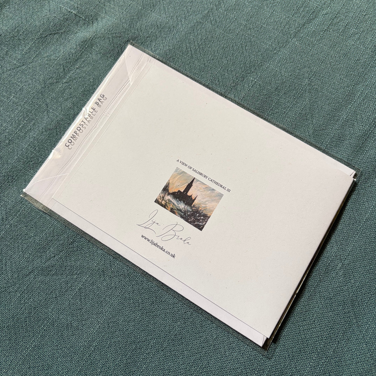 A View of Salisbury Cathedral III greeting card