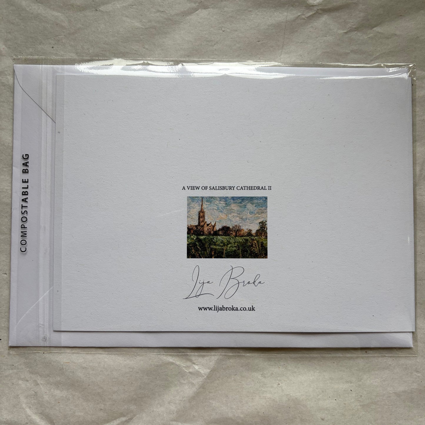 A View of Salisbury Cathedral II greeting card