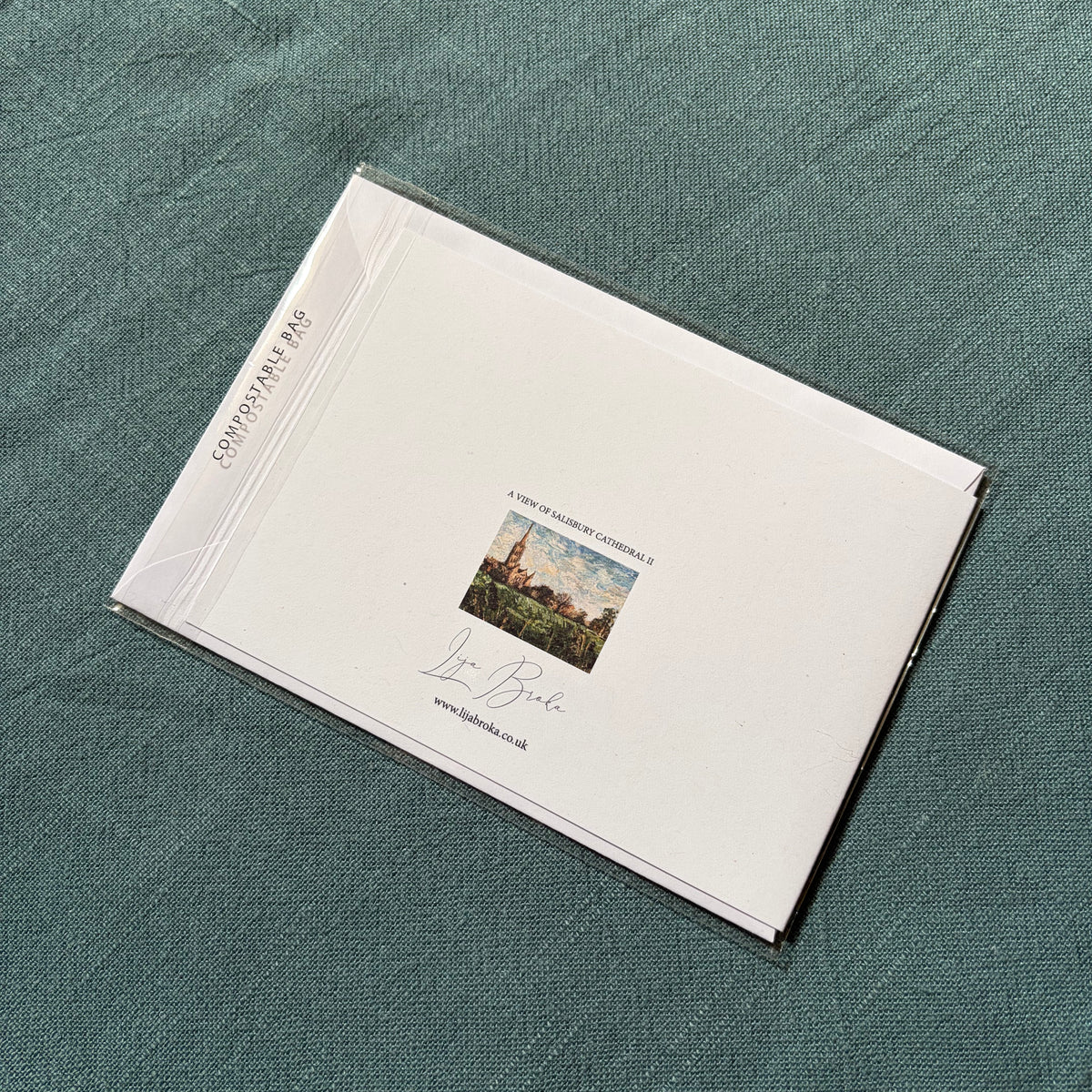 A View of Salisbury Cathedral II greeting card
