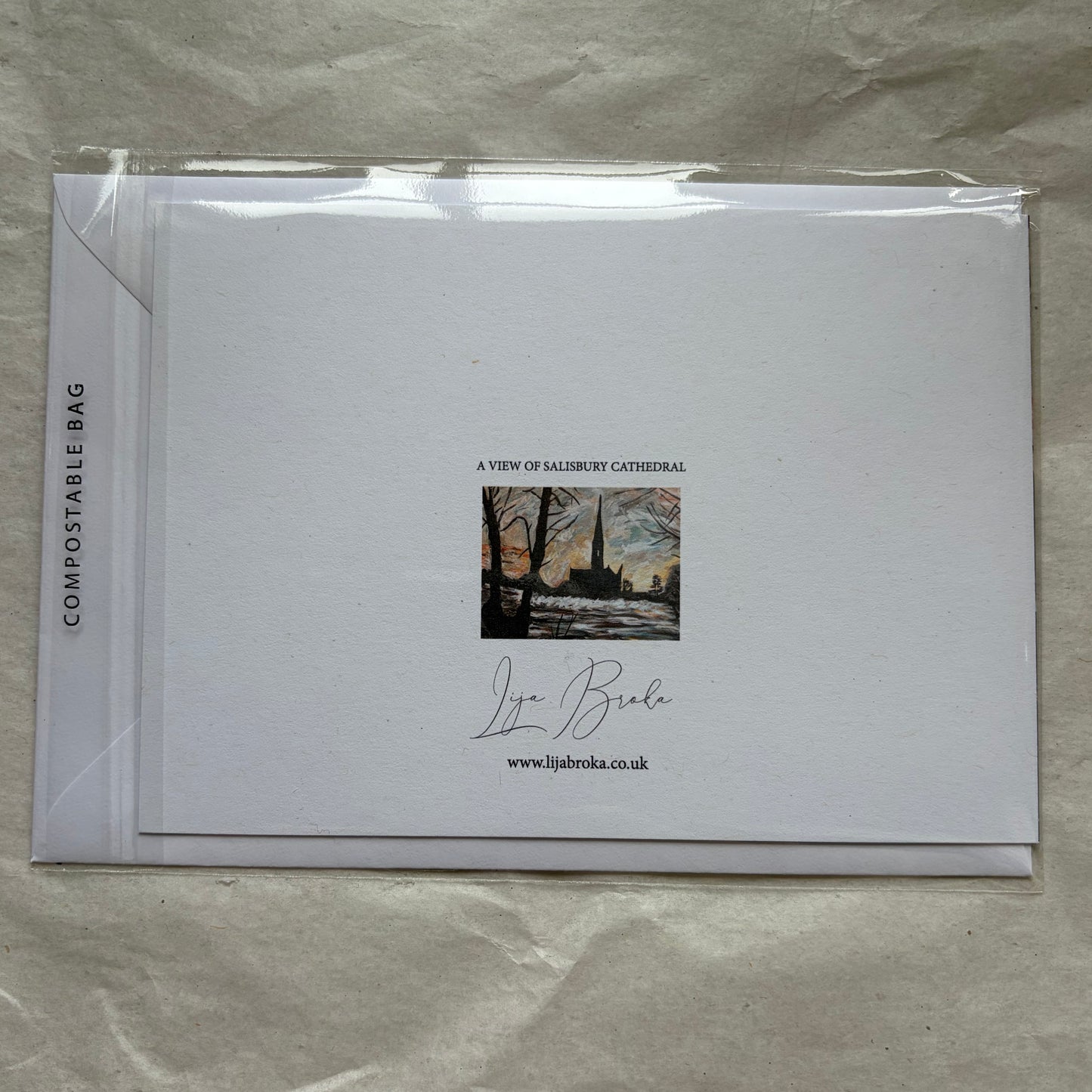 A View of Salisbury Cathedral I greeting card