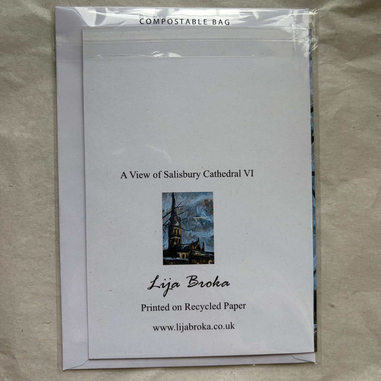 A View of Salisbury Cathedral VI greeting card
