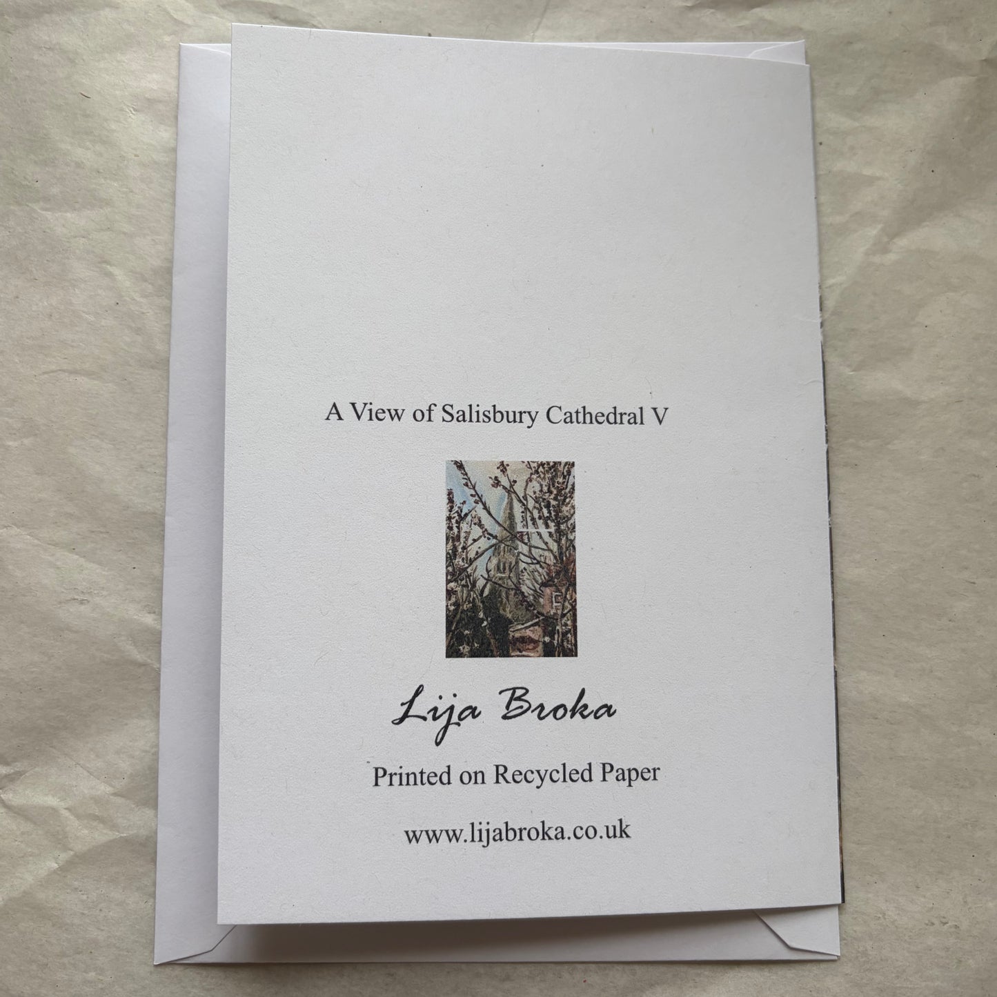 A View of Salisbury Cathedral V greeting card