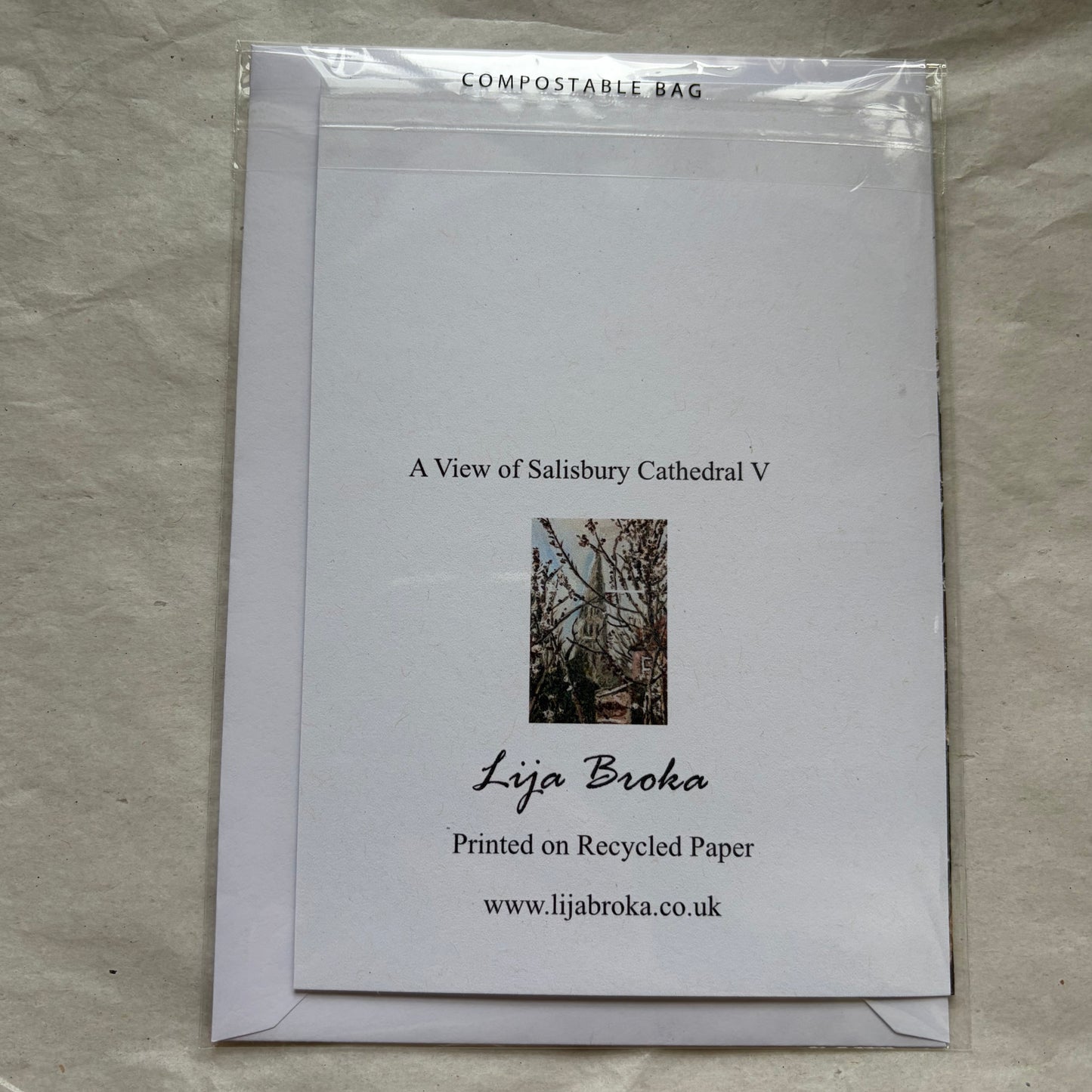 A View of Salisbury Cathedral V greeting card